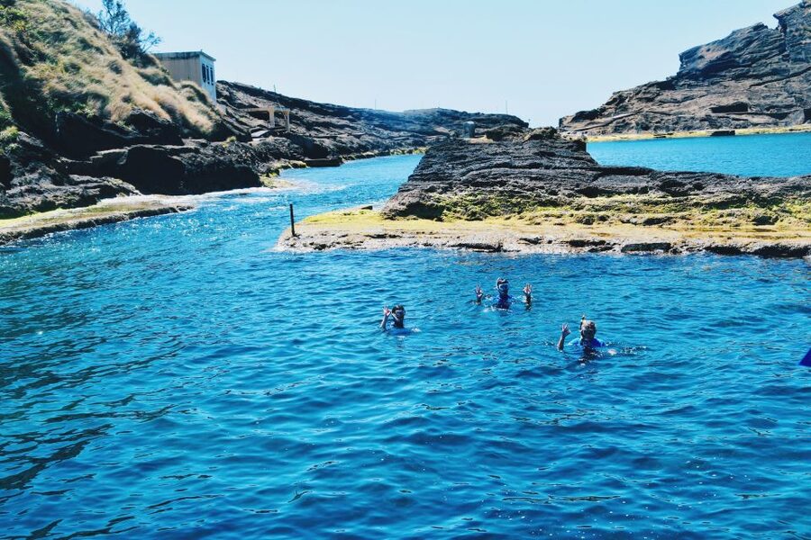 São Miguel: Glass Bottom Boat Tour with Snorkeling - Price, timing, and practical value