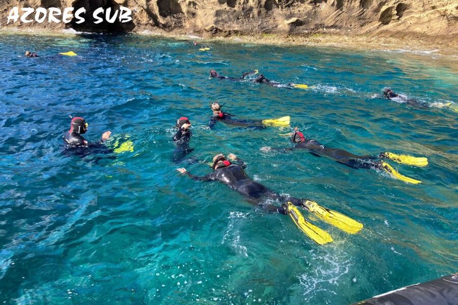 Sao Miguel: Snorkeling around Vila Franca do Campo - Snorkeling beside Vila Franca do Campo Islet