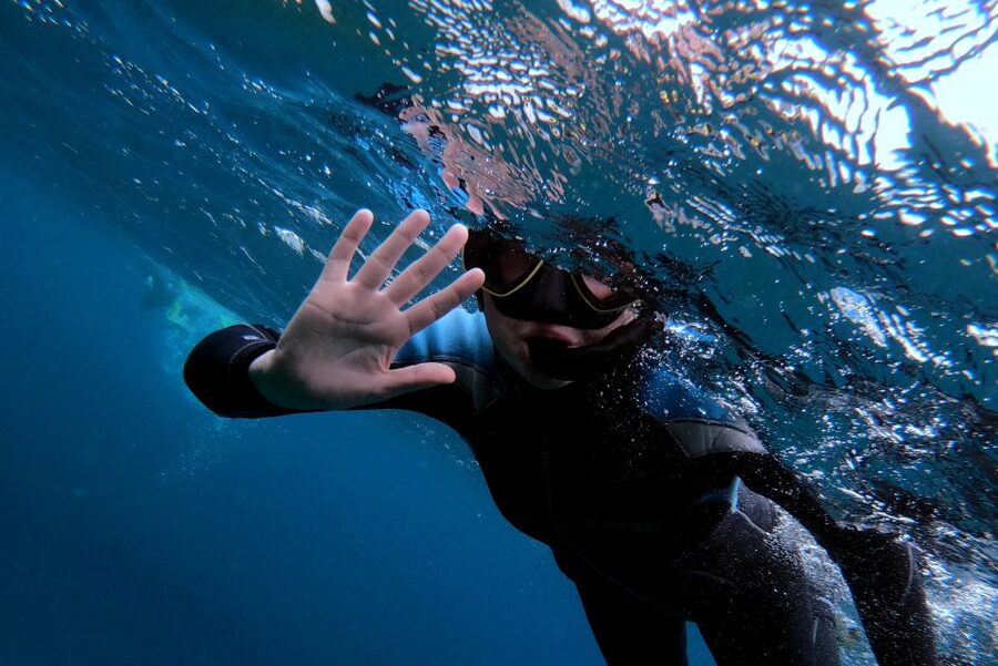 Sao Miguel: Snorkeling around Vila Franca do Campo - What happens at the Vila Franca marina