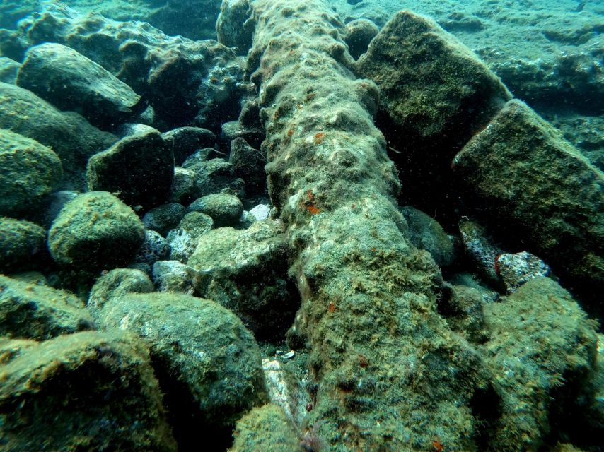 Sao Miguel: Snorkeling around Vila Franca do Campo - One hour of guided snorkeling around the islet