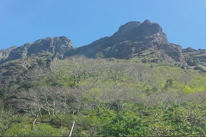 Scenic Route - Nuns Valley Tour - Small-group comfort, seating, and pickup facts