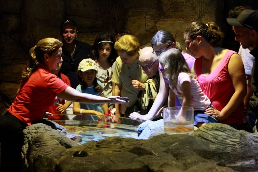 SEA LIFE Porto Full-Day Entrance Ticket - Is $22 good value for the day?