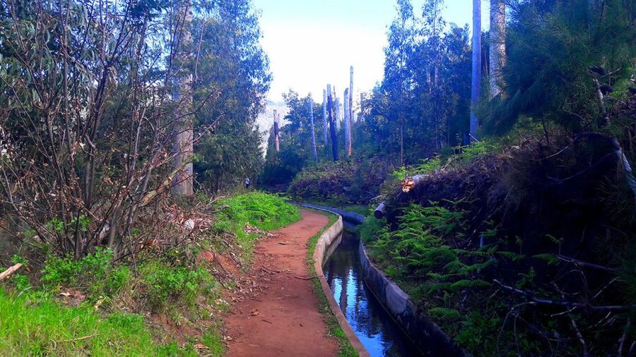 Serra de Água Valley Levada Walk - Who should book the Serra de Água walk?