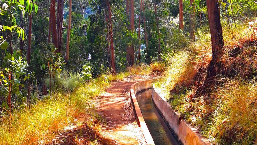 Serra de Água Valley Levada Walk - Why this levada walk works for a first Madeira hike