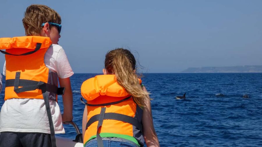 Sesimbra: Arrábida Dolphin Watching Boat Tour with Biologist - What to bring for a comfortable ride