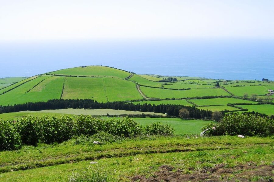Sete Cidades Azores 4x4 Day Tour from Ponta Delgada - Who should book this day?