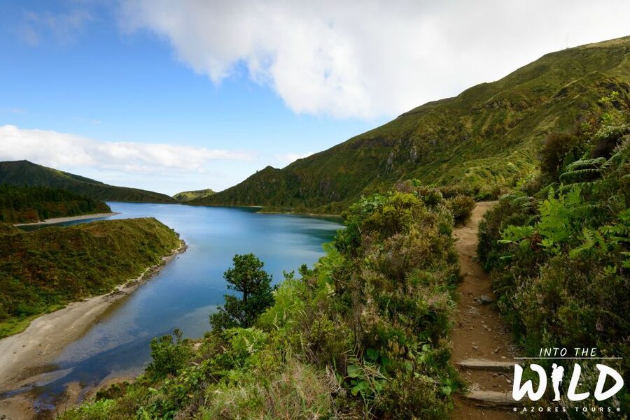 Sete Cidades & Lagoa do Fogo - Full-Day Tour - Vista do Rei reveals Sete Cidades from above