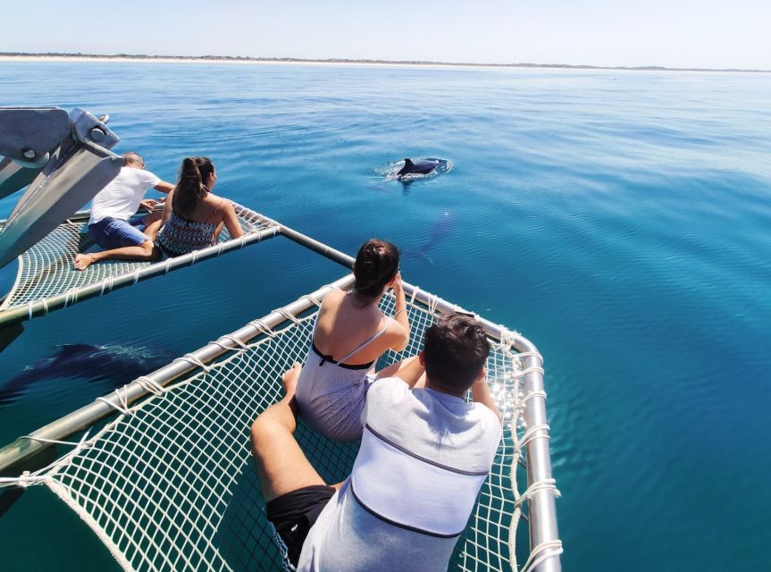 Setúbal: Dolphin Watching Tour - Is $53 a good price?