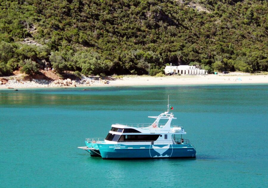 Setúbal: Dolphin Watching Tour - Leaving the fishing harbor
