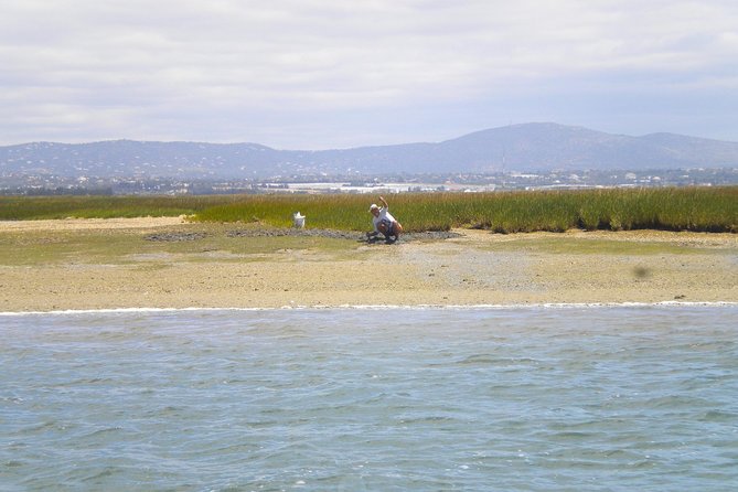 Short boat trip of the Algarve's Ria Formosa lagoon from Faro: 1 hour - Why the short duration can be an advantage