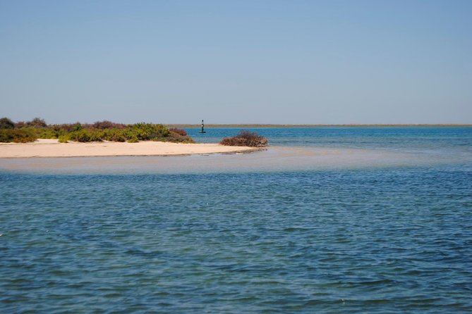 Short boat trip of the Algarve's Ria Formosa lagoon from Faro: 1 hour - Comfort, group size, and practical value