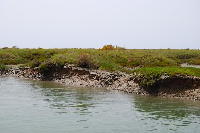 Short boat trip of the Algarve's Ria Formosa lagoon from Faro: 1 hour - Who should book this Faro boat trip