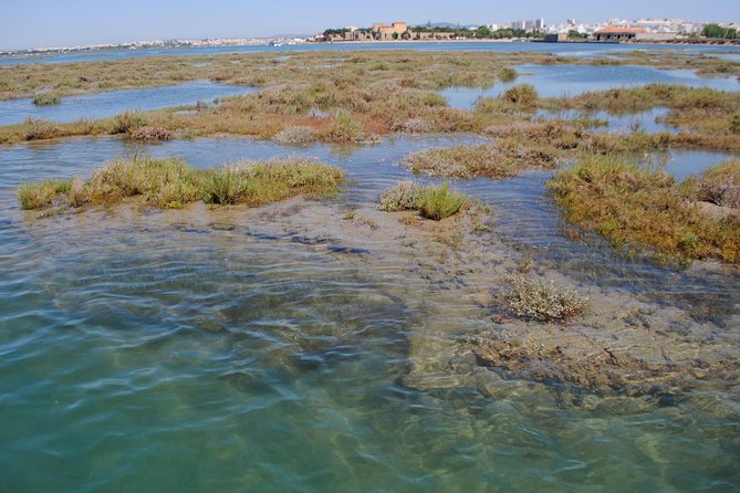 Short boat trip of the Algarve's Ria Formosa lagoon from Faro: 1 hour - Should you book it?