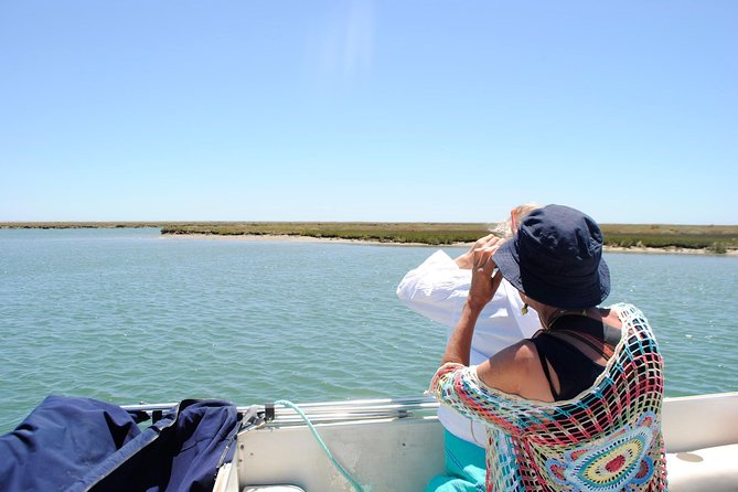 Short boat trip of the Algarve's Ria Formosa lagoon from Faro: 1 hour - A guide-led trip, not just a boat transfer