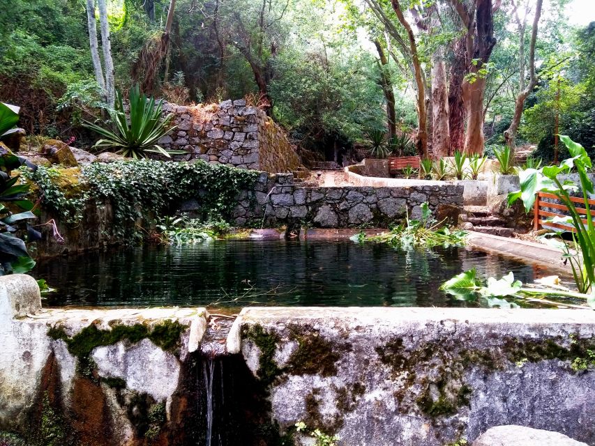 Silves, Caldas and Monchique Wine Tasting: Full Day Tour - Is $104 good value?