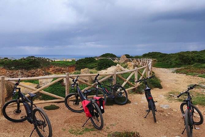 Sintra & Cascais de E-Bike Tour - Guides, group size, and the pace of the day