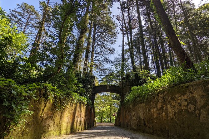 Sintra-Cascais-Pena Palace 8-People Small Group Tour from Lisbon - What $56.53 really gets you
