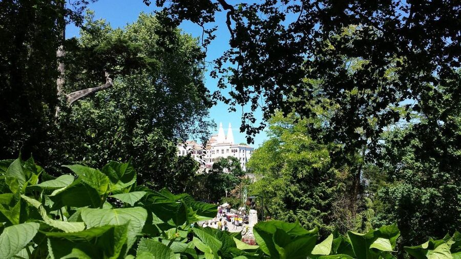 Sintra: Full-Day Tour from Lisbon with Wine Tasting - The Moorish Castle and its steep panoramic walk