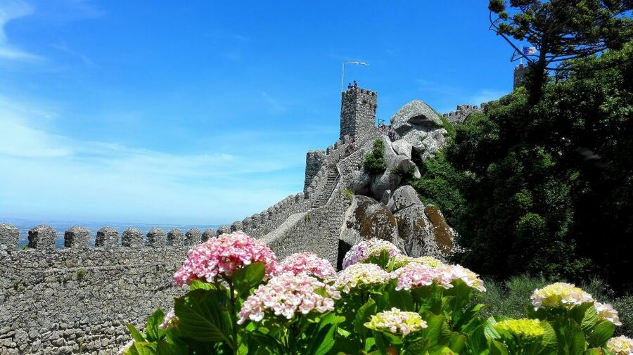 Sintra: Truly Private Tour to Pena Palace & Regaleira - What the guides add to the day