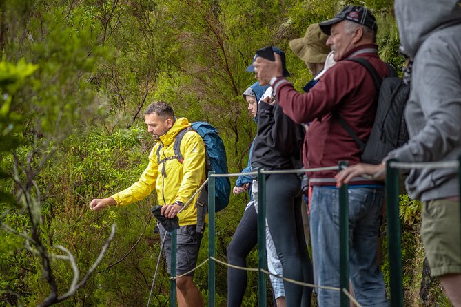 Skywalk 4x4 Experience and Rabacal 25 Fountains Levada Walk - Why this day works well in Madeira