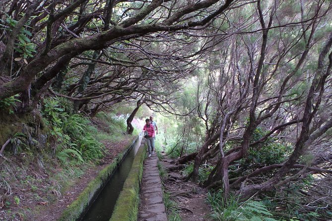 Skywalk 4x4 Experience and Rabacal 25 Fountains Levada Walk - Cabo Girão and the glass floor