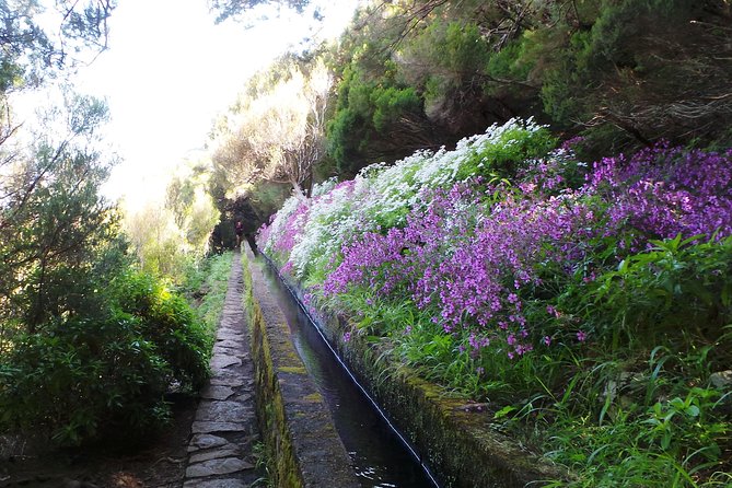 Skywalk 4x4 Experience and Rabacal 25 Fountains Levada Walk - Timing, transport, and group size