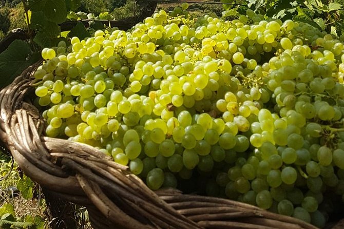 Skywalk with Wines Tasting and Vineyards Half day 4x4 Adventure - Timing, comfort, and useful planning tips