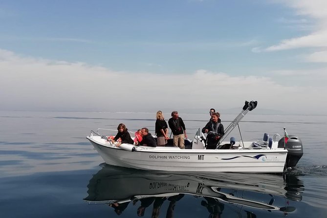 Small Group Dolphin and Wildlife Watching Tour in Faro - Why this Faro dolphin trip feels different