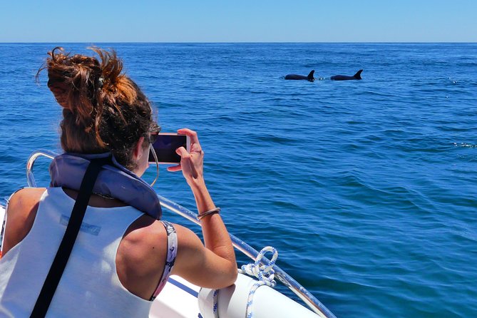 Small Group Dolphin and Wildlife Watching Tour in Faro - Booking, cancellation, and practical timing