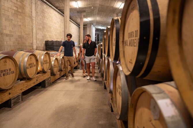 Small Group Douro Valley Wine Tour with Lunch and Cruise - Who will enjoy this tour most