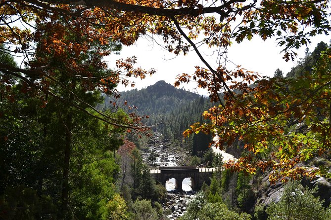Small Group Geres National Park Full Day with picnic from Porto - What lunch really means here