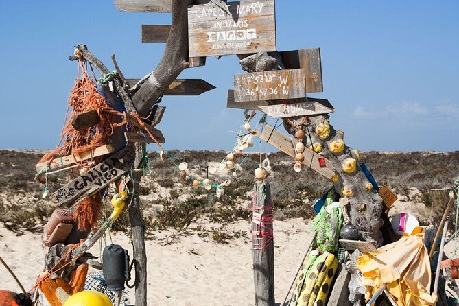 Small-Group Tour in Faro Islands - Leaving Faro with a marine biologist