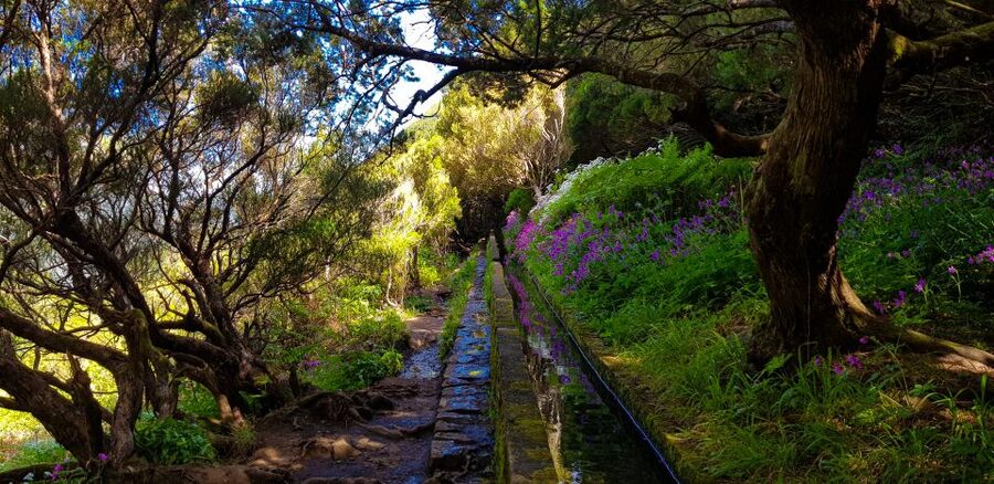 Small Group Walks Rabaçal 25 Fontes - Booking, cancellation, and practical details