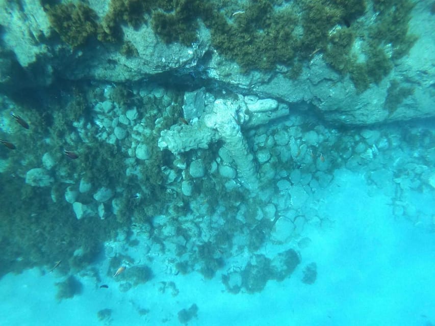 Snorkeling Tour- Vila Franca do Campo Islet - Snorkeling over volcanic rock