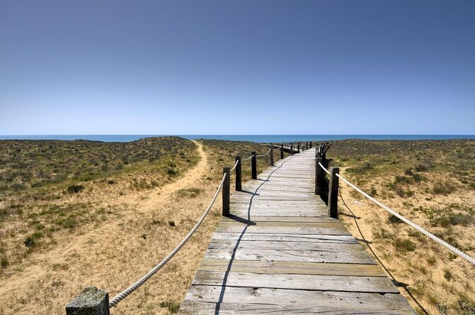 Sunset Beach Safari w/ Champagne & Chicken Piri Piri Dinner - Key points before you book