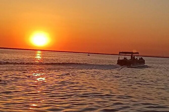 Sunset Tour | Ria Formosa - From Faro - Quick points to know