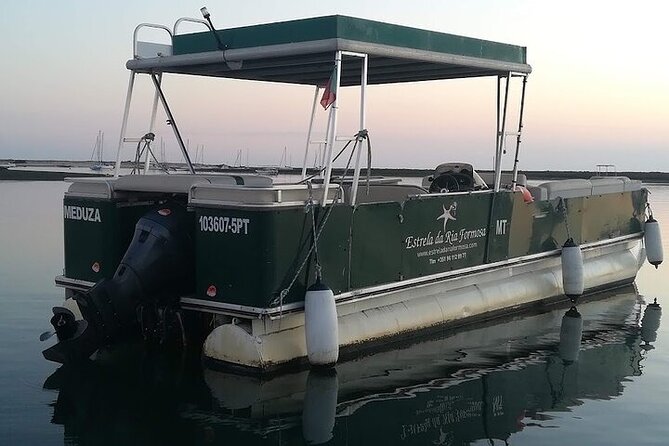 Sunset Tour | Ria Formosa - From Faro - Who will enjoy this boat ride most?
