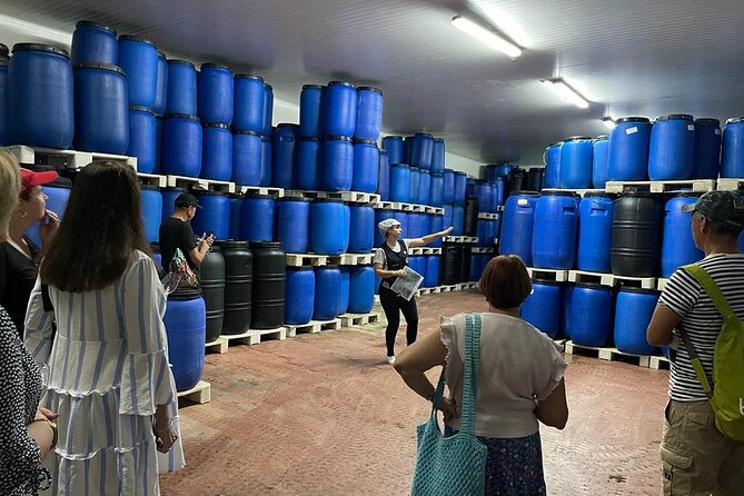Tavira Olive Experience Factory Tour and Tasting - What this Tavira olive factory visit is really about