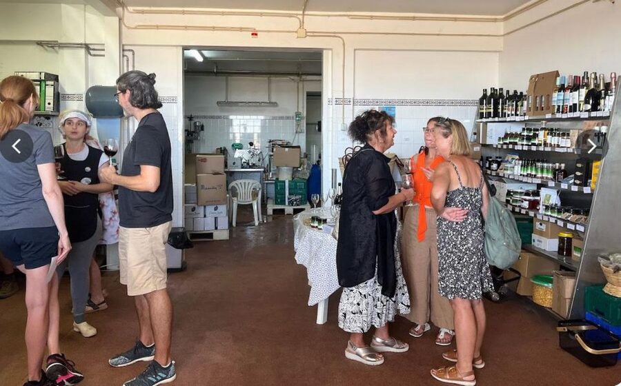 Tavira: Olive Factory Tour and Tasting - Price, time, and getting there