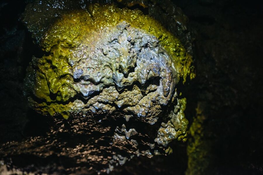 Terceira: Algar do Carvão Lava Caves Tour - What the guide adds to the geology