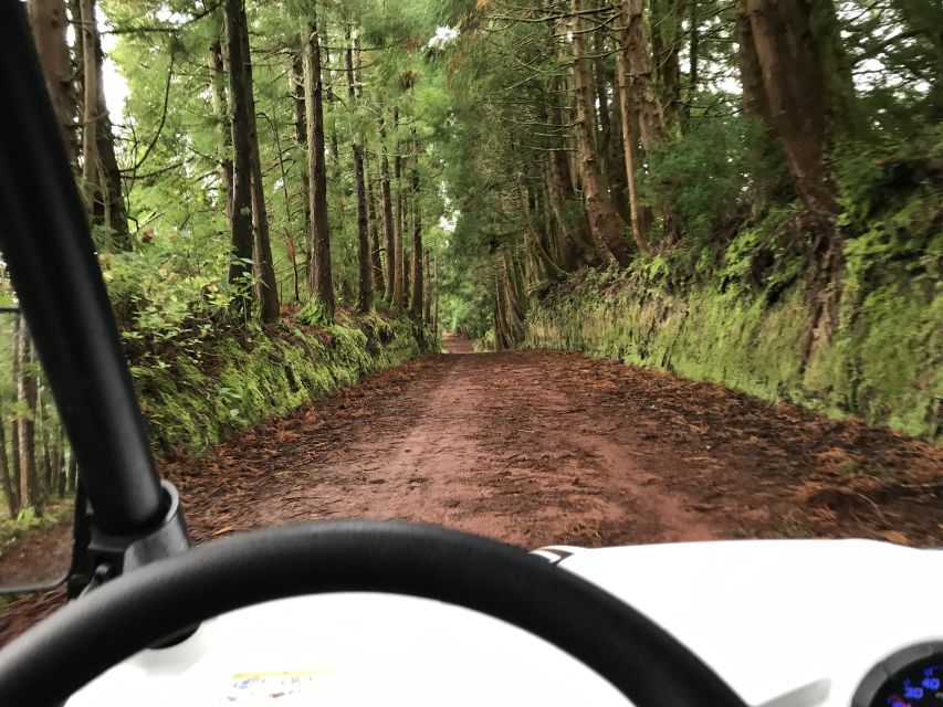 Terceira: Buggy Tour 4x4 West Side Azores Retreat - Family trips, couples, and first-time off-road drivers