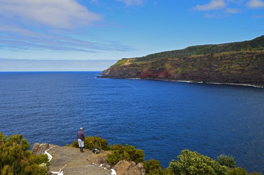 Terceira: Half-Day Island Tour with Cheese Tasting - What the $58 price really buys you