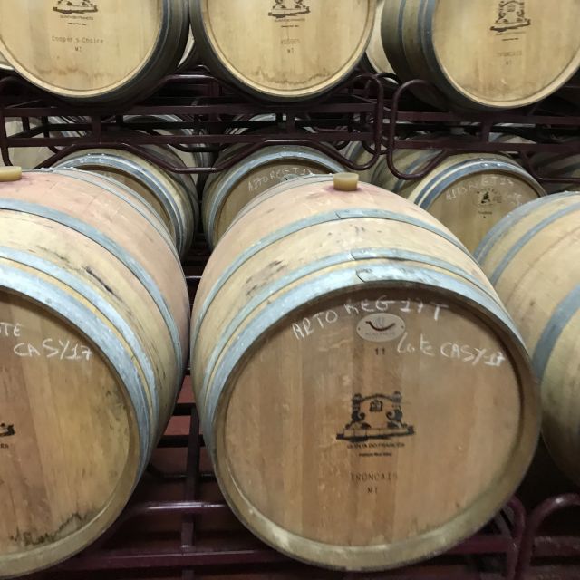 The Real Algarve: 2 Boutique Wineries & Silves Tour - At a glance