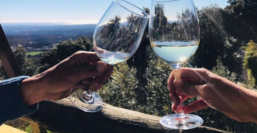 The Real Algarve: 2 Boutique Wineries & Silves Tour - Lagoa: your first look at Algarve wine