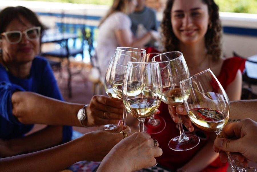 The Real Algarve: 2 Boutique Wineries & Silves Tour - Practical advice for getting the most from the day