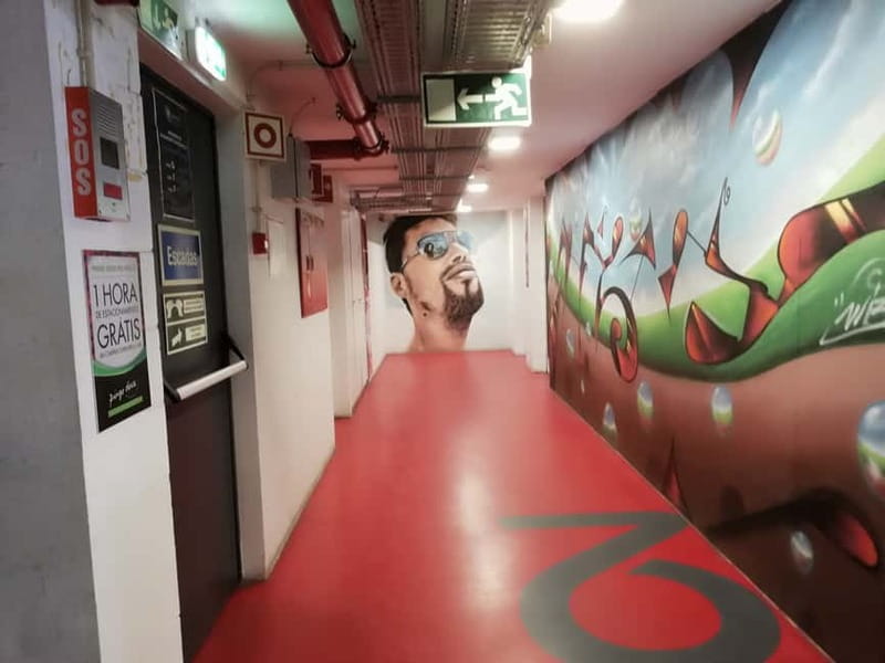 The Real Lisbon Street Art Private Guided Tour by Minivan - My booking advice
