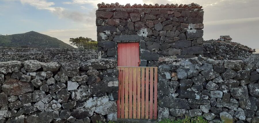 Tours on Pico Island - Cultural and Natural Landscape - A full day that explains Pico