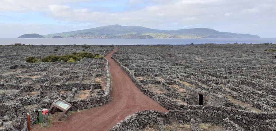 Tours on Pico Island - Cultural and Natural Landscape - The vineyard country near Madalena, Cachorro, and Lajido