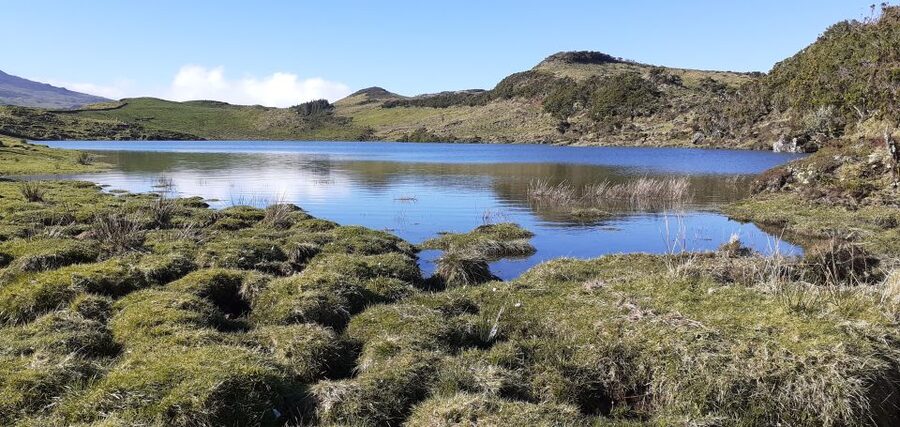 Tours on Pico Island - Cultural and Natural Landscape - Who will get the most from this tour