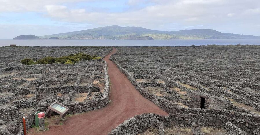 Tours on Pico Island - Cultural and Natural Landscape - Lagoa do Capitão and Pico’s inland side